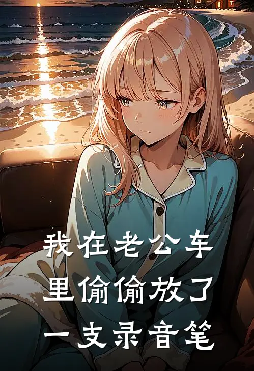 我在老公车里偷偷放了一支录音笔