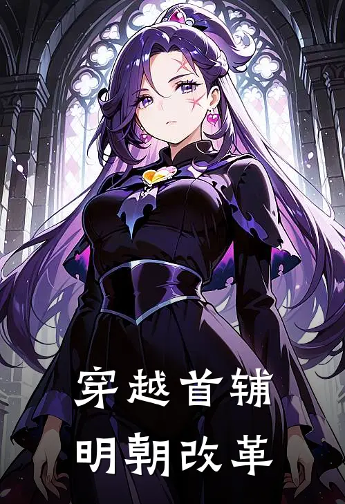 穿越首辅明朝改革